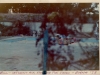 billcatchingairthroughthetrees78