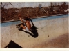 billmimickingthelonegraffitisurfdudesmiking77